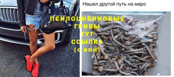 таблы Бикин