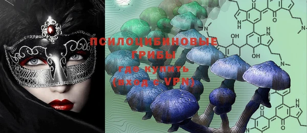 стафф Михайлов