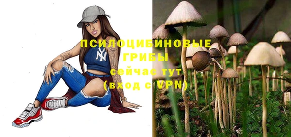 стафф Михайлов