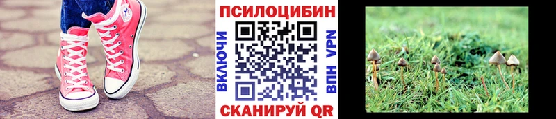Галлюциногенные грибы прущие грибы  MEGA зеркало  Пойковский 